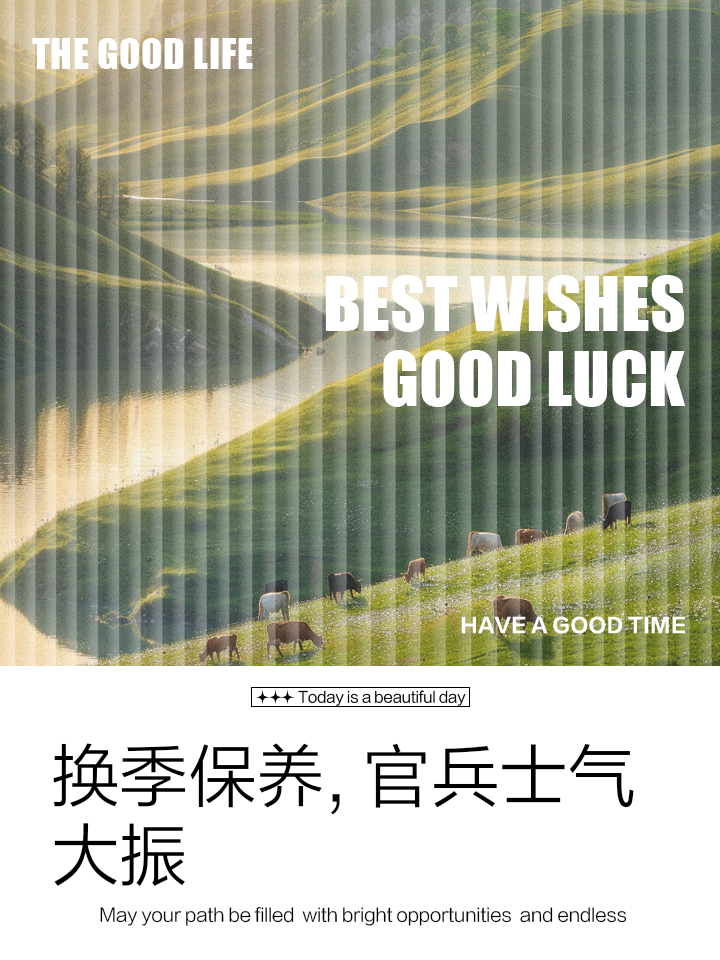 开云APP-奥地利惨遭北马其顿逆转，出线希望蒙上阴霾，士气大振