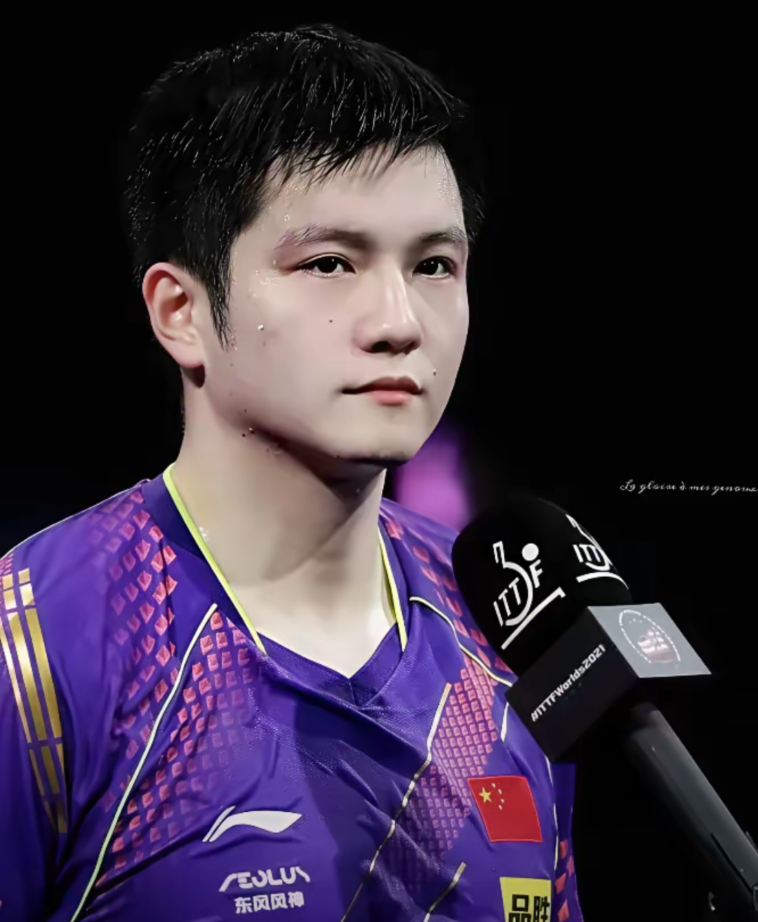 开云体育平台APP-法国队轻取波兰队，樊振东刷新纪录