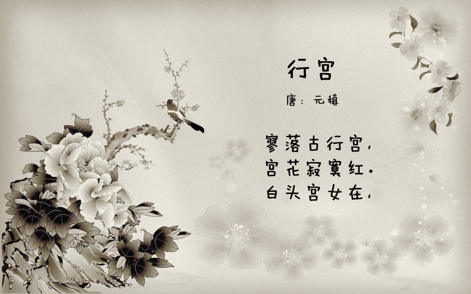 F1轰鸣之夜，弗拉霍维奇化身绿茵一号车手，他用进球与领袖力带动全队新赛季节奏