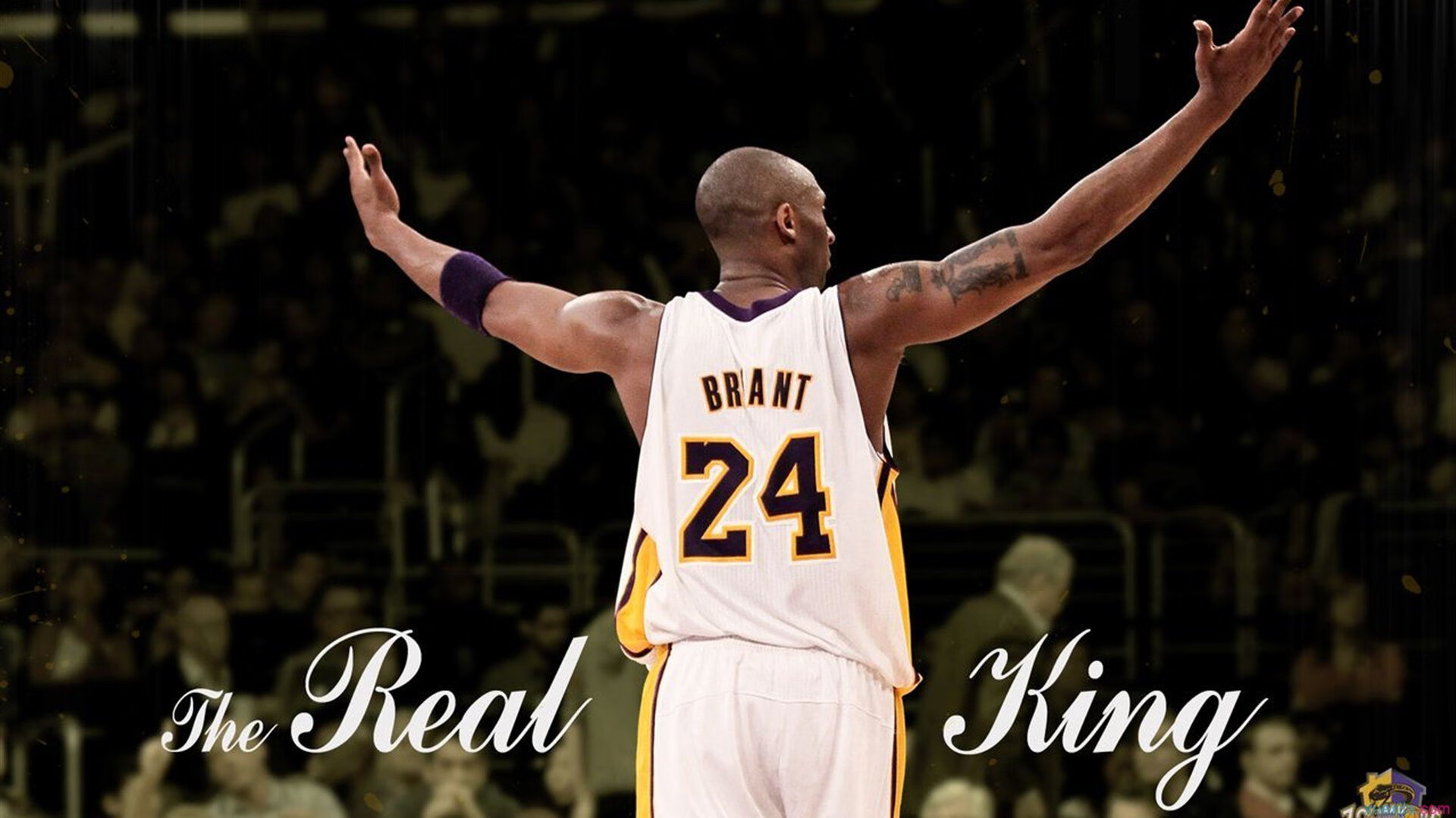 开云APP-范弗利特爆发难救主，老鹰主场稳稳击败骑士